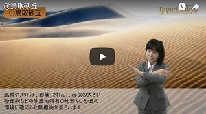 ホームページWEB