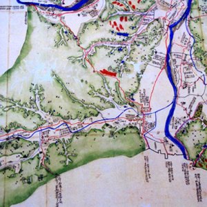 カッティングシート