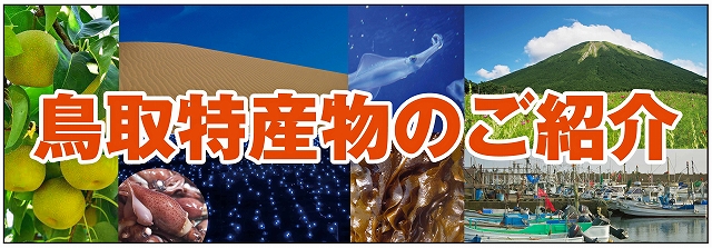 ポップデザイン