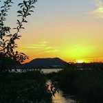 フォトアルバム