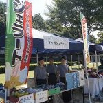 ワークショップ