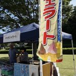 ワークショップ