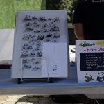 ワークショップ