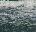 ホームページWEB