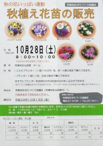 ちらし・リーフレット