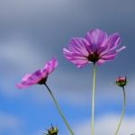 フォトアルバム