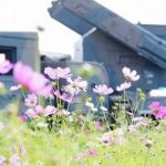 フォトアルバム