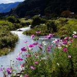 フォトアルバム