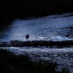 フォトアルバム