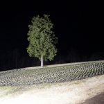 フォトアルバム