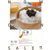 フライヤー・ちらし