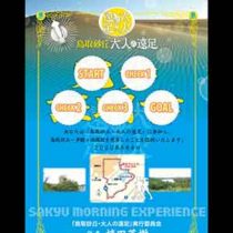 フライヤーちらし