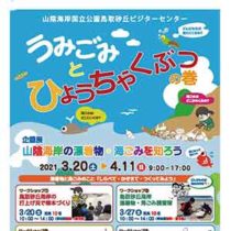 フライヤーちらし