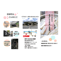 フライヤーちらし