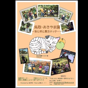 フライヤーちらし