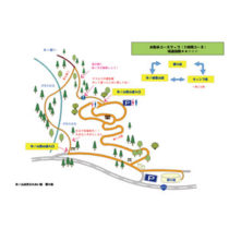 フライヤーちらし