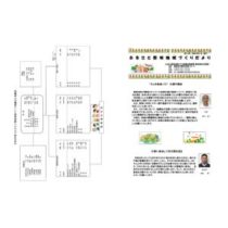 フライヤーチラシ