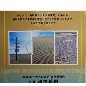 フライヤーチラシ