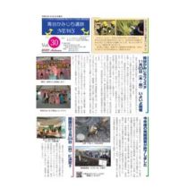 フライヤーチラシ