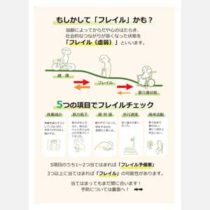 フライヤーチラシ