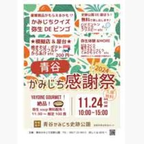 フライヤーチラシ